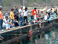 日向の釣堀
